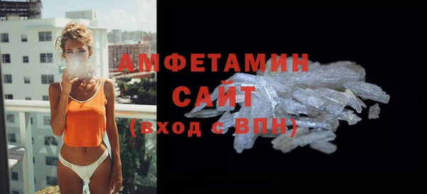 шишки Каменногорск
