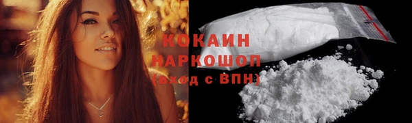 тгк Касимов