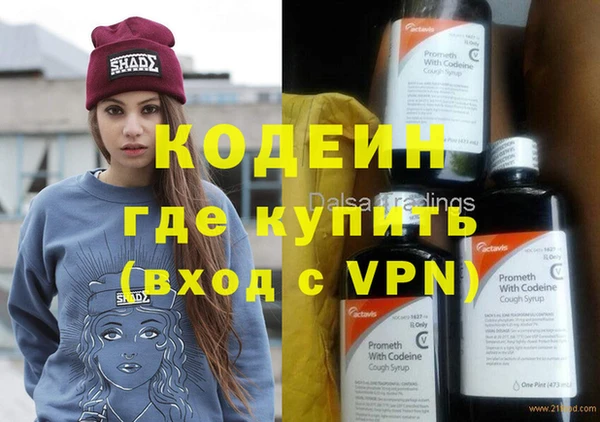 шишки Каменногорск
