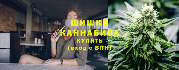 mdpv Каменка